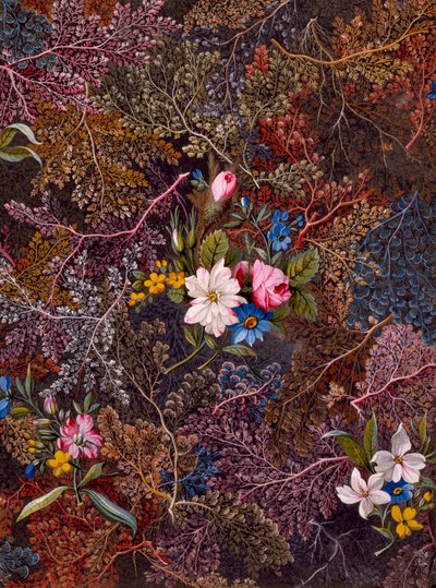 Conception textile, vers 1788-92 - William Kilburn